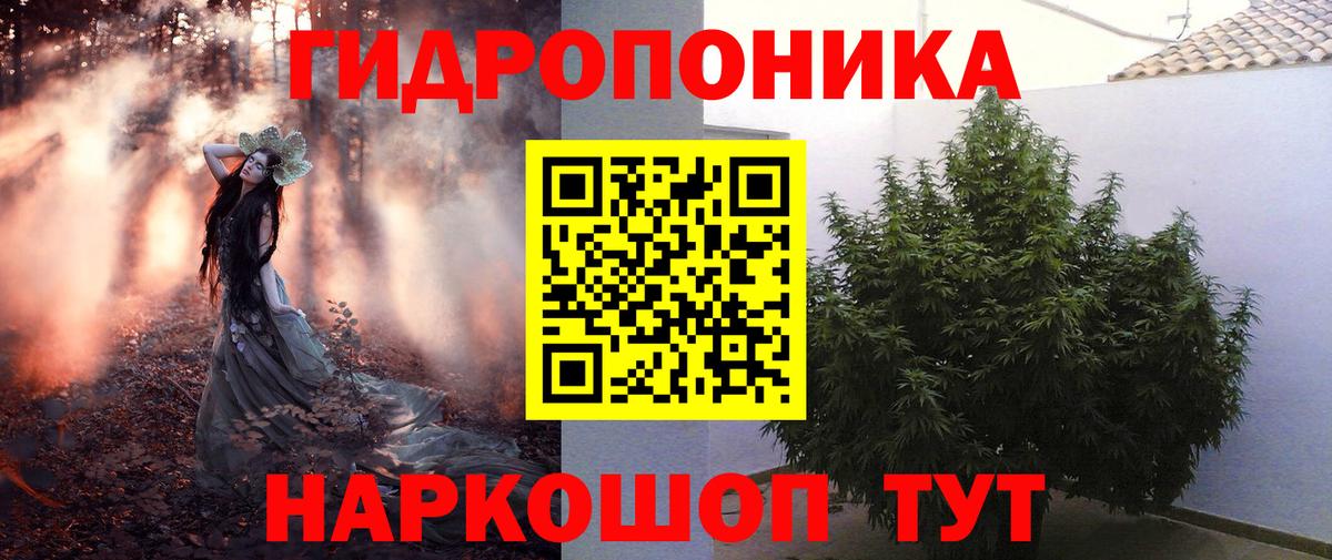 Каменка  Марихуана планчик  Вход с VPN  Бошки Шишки гибрид  Бошки Шишки LSD WEED  Конопля SATIVA & INDICA 
